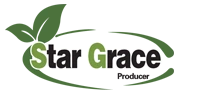 estrella  Gracia  minería  Co., Ltd